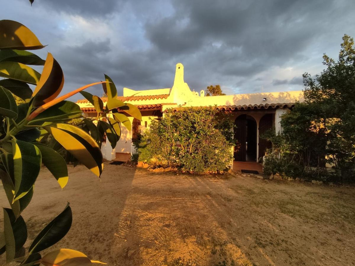 Chia Aloe & Cactus Villa Екстериор снимка