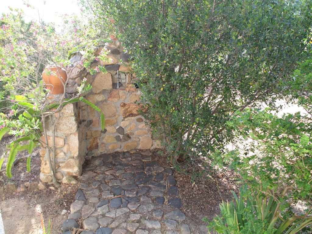 Chia Aloe & Cactus Villa Екстериор снимка