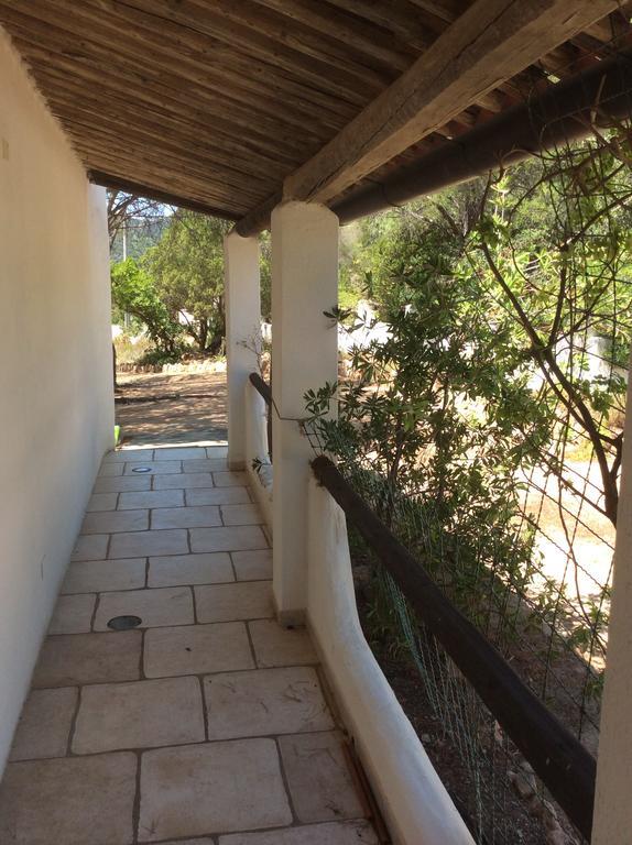Chia Aloe & Cactus Villa Екстериор снимка