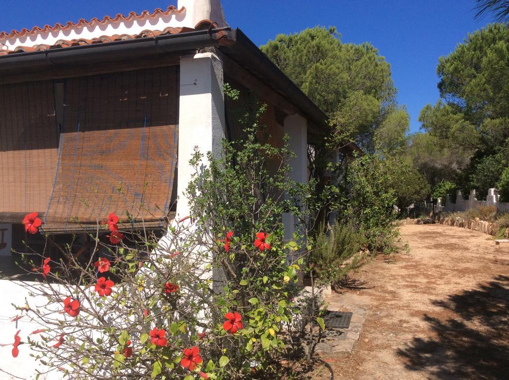 Chia Aloe & Cactus Villa Екстериор снимка