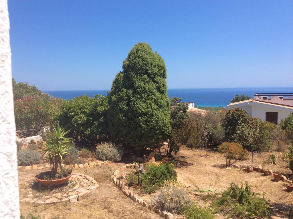 Chia Aloe & Cactus Villa Екстериор снимка